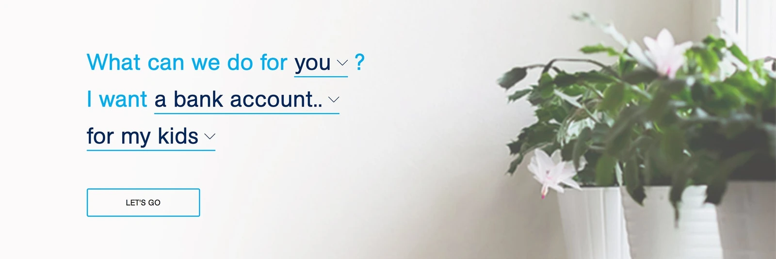 Hume Bank · 设计展示