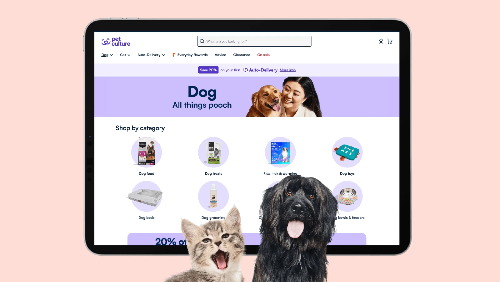 Headless CMS 入门指南