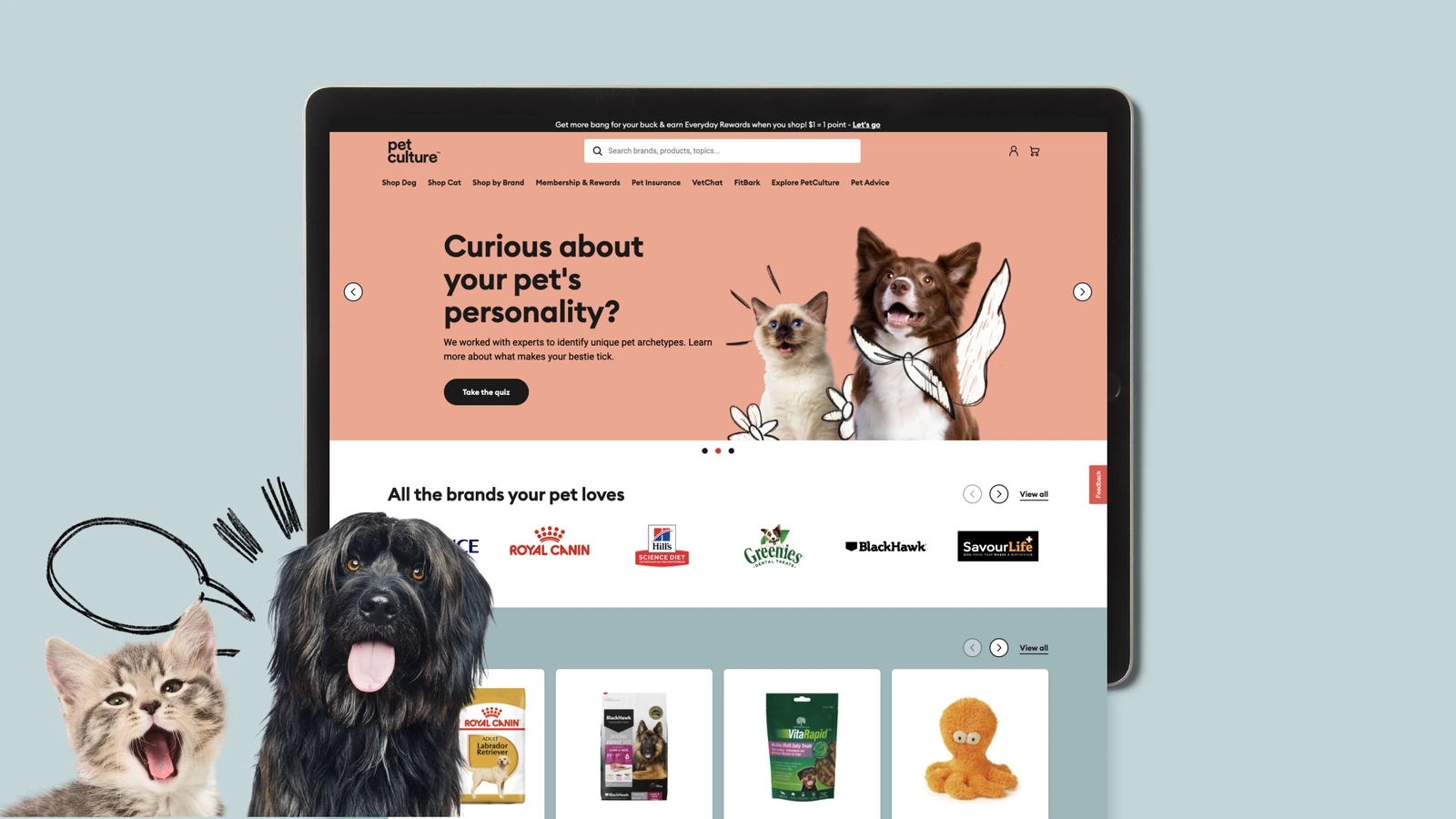 Pet Culture · 设计展示