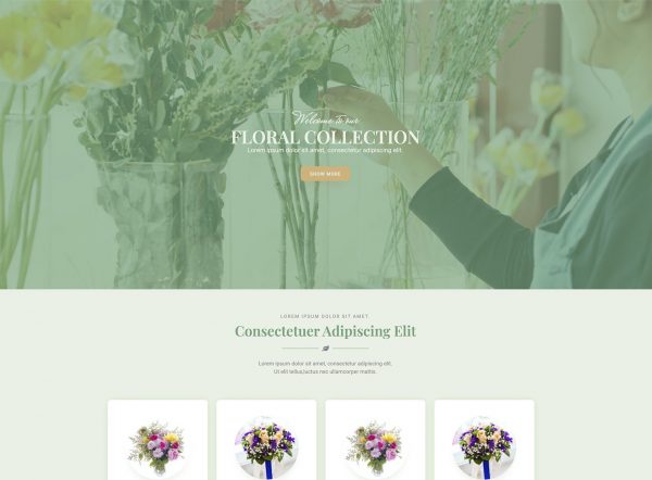 Monty Florist — 首页