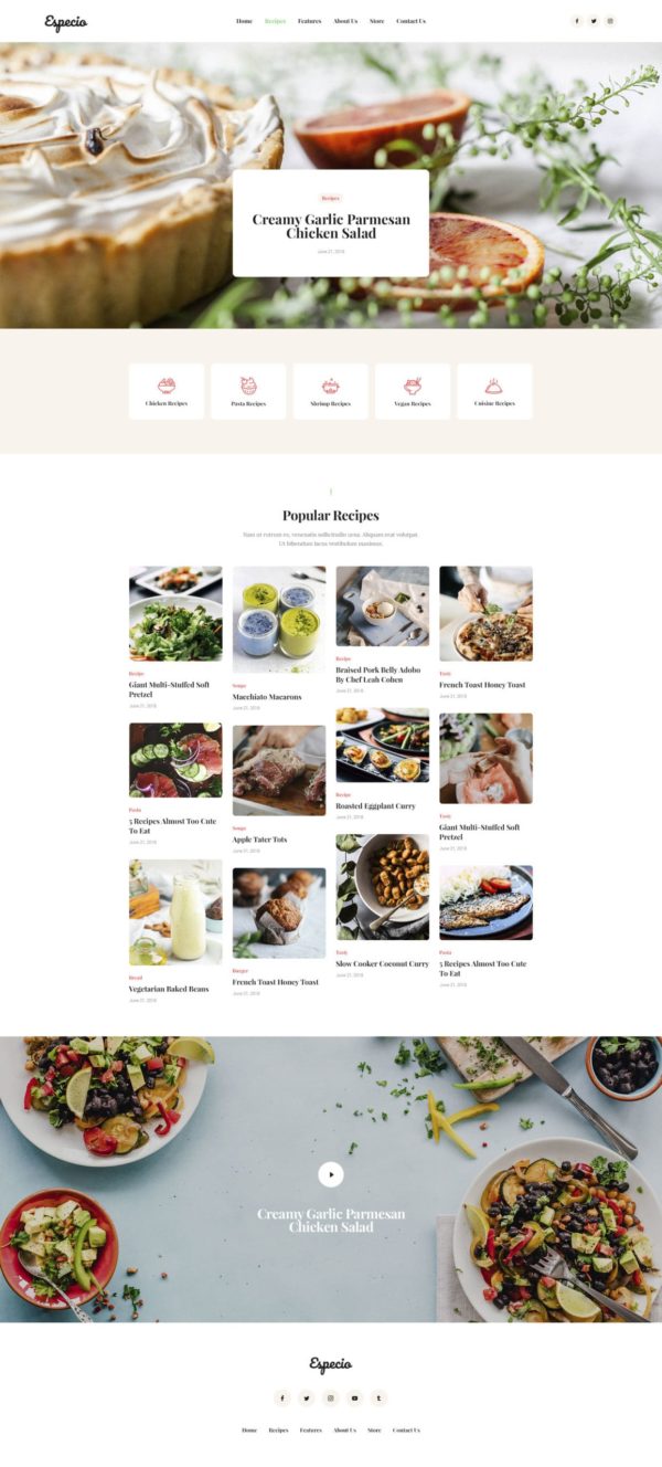 AxiomThemes Food Blog Template Kit — 首页