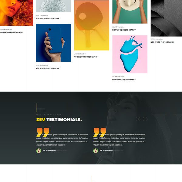 Zev Template — Home