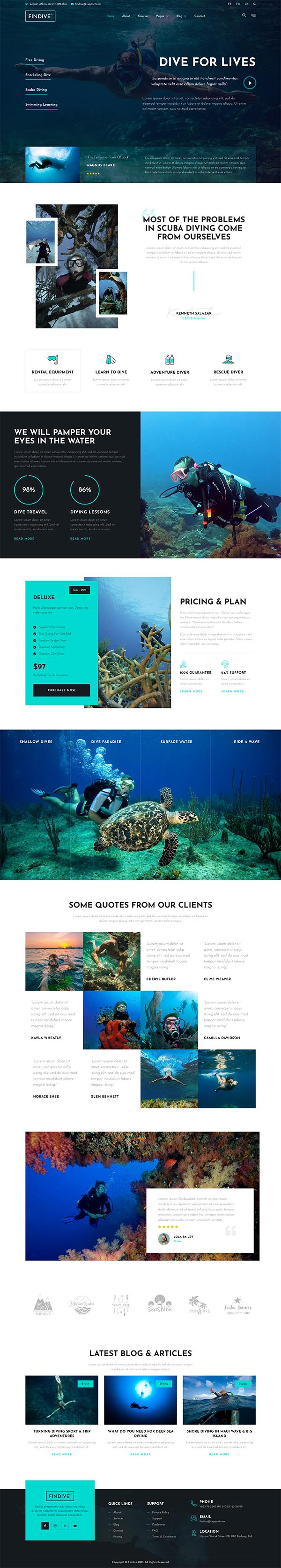Findive — Home