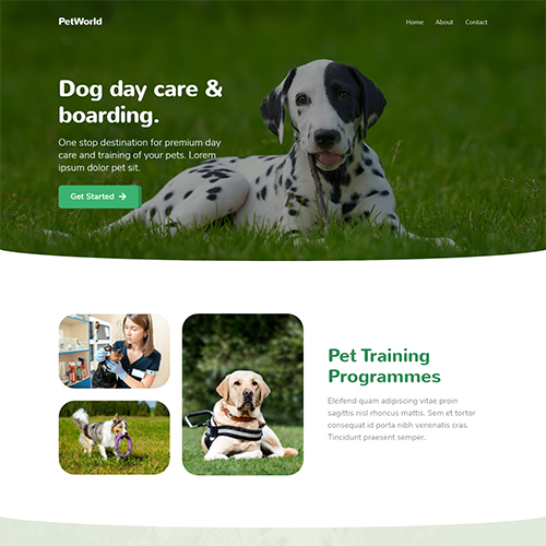 PetCare — Home