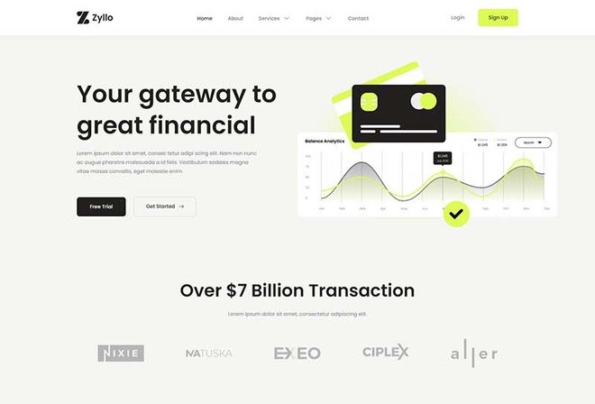 Zyllo - Online Payment Gateway Elementor Template Kit