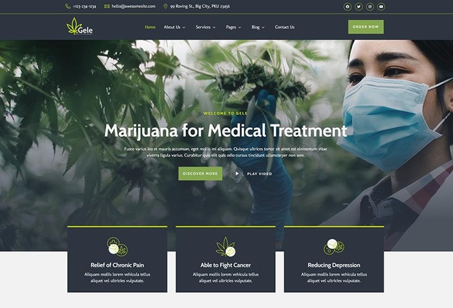 Gele - Medical Marijuana & Medicine Elementor Template Kit