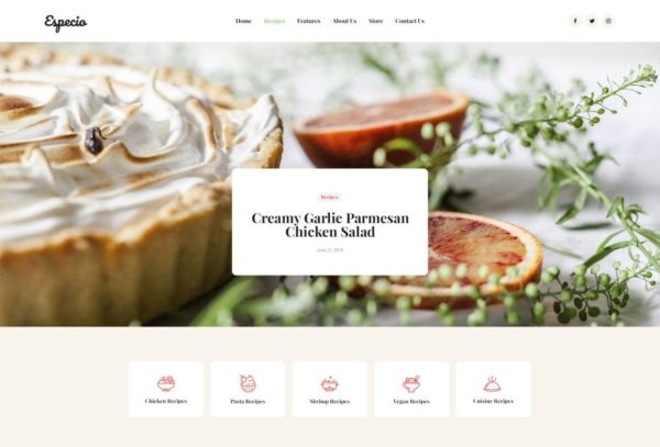 AxiomThemes Food Blog Template Kit