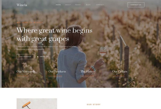 Winela - Wine and Vineyard Elementor Template Kit