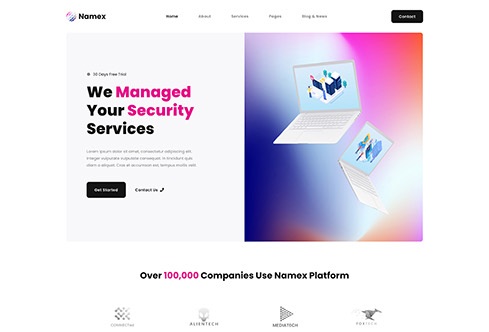 Namex - Cyber Security Services Company Elementor Template Kit