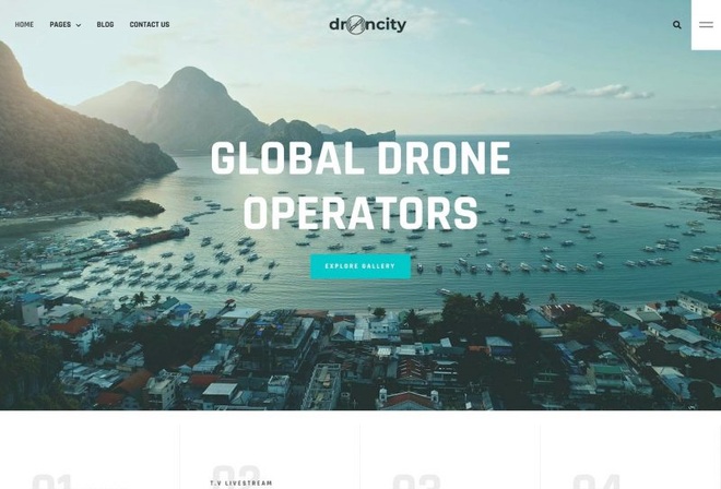 Droncity