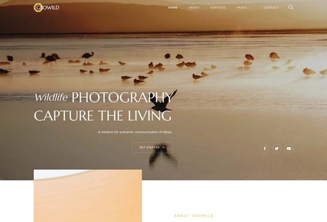 Geowild - Wildlife Photography Service Elementor Template Kit