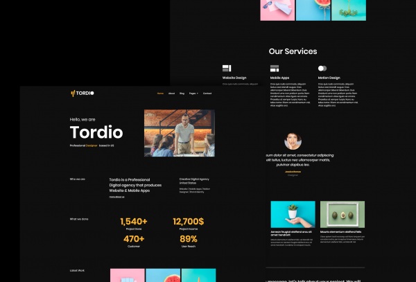 Tordio - Portfolio Digital Agency