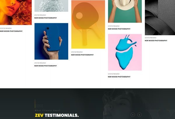 Zev Template
