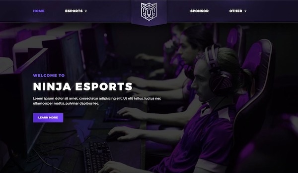 Esportize