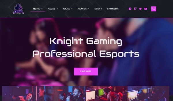 Knight