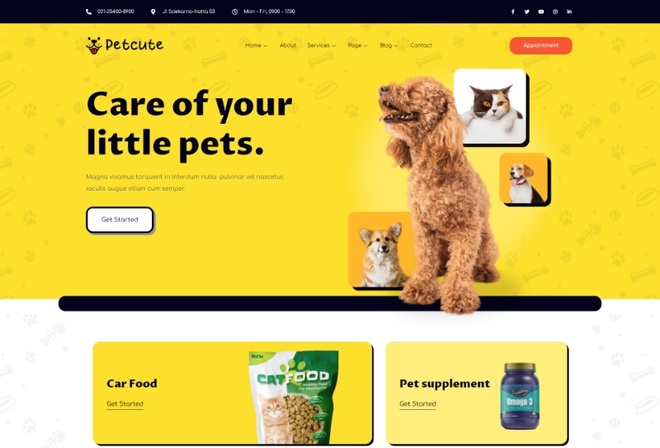 Pet Cute - Pet Care & Veterinary Elementor Template Kit