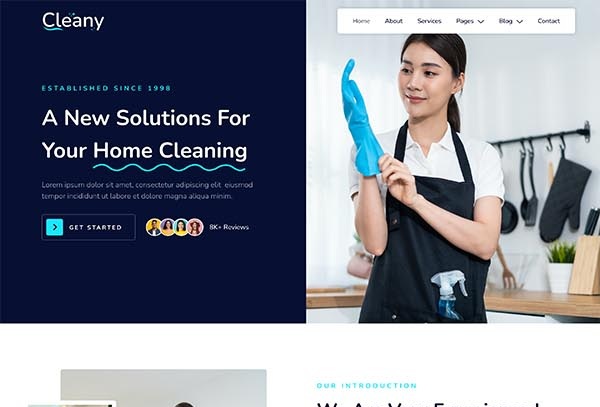 Cleany – Cleaning Service Company Elementor Template Kit