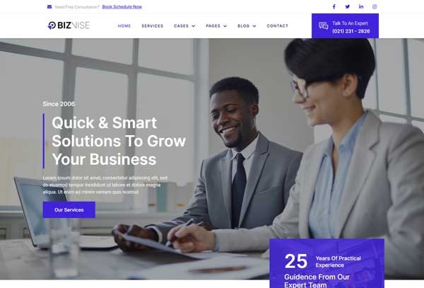 Biznise – Business Consulting Elementor Template Kit