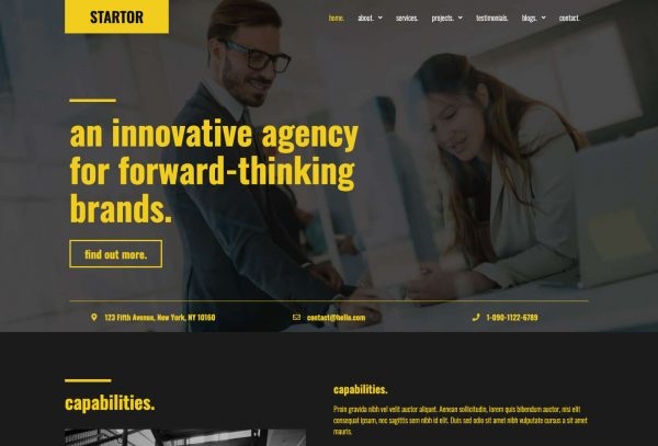 STARTOR - Agency & Company Template Kit