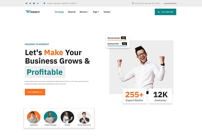 Wiprofit - Consulting Business Elementor Template Kit