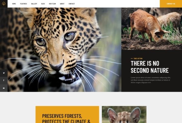 AxiomThemes Petitions & Social Activism Template Kit