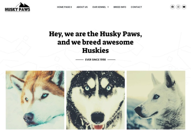 HuskyPaws