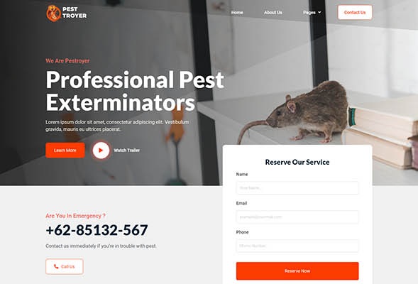 Pestroyer