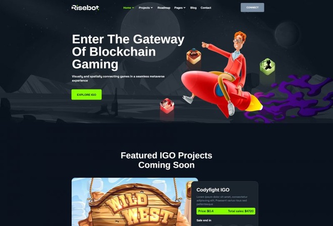Risebot - Metaverse Web3 IGO Launchpad