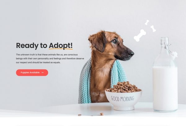 Tailwag - Dog Breeder Kit