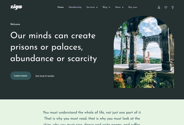 Ziga - Healer & Life Coach Elementor Template Kit